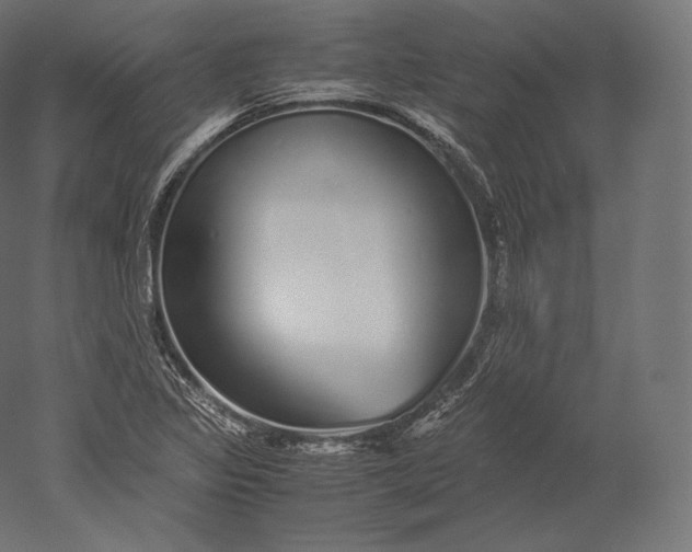 X0000051251317200507011642