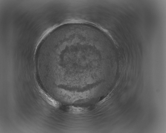 X0000051251319200507011642