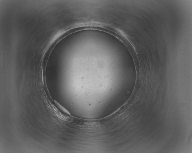 X0000051251320200507011642