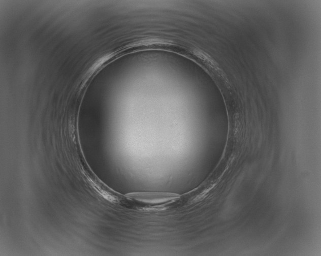 X0000051251321200507011642