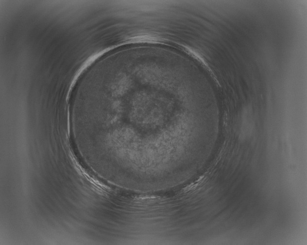 X0000051251323200507011642