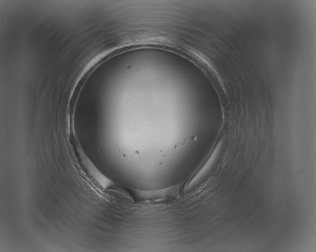 X0000051251324200507011642