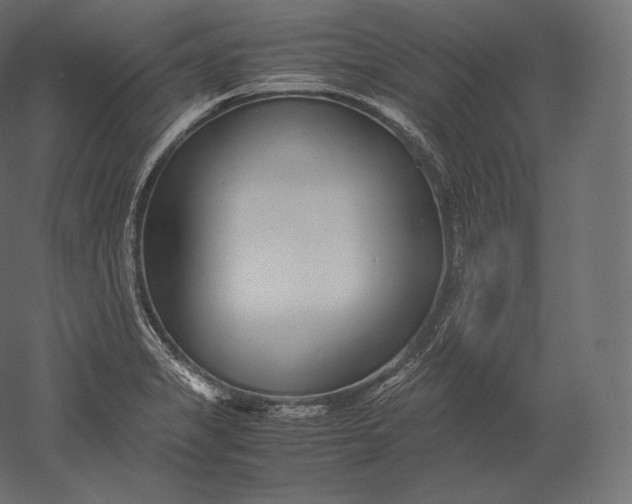 X0000051251325200507011642