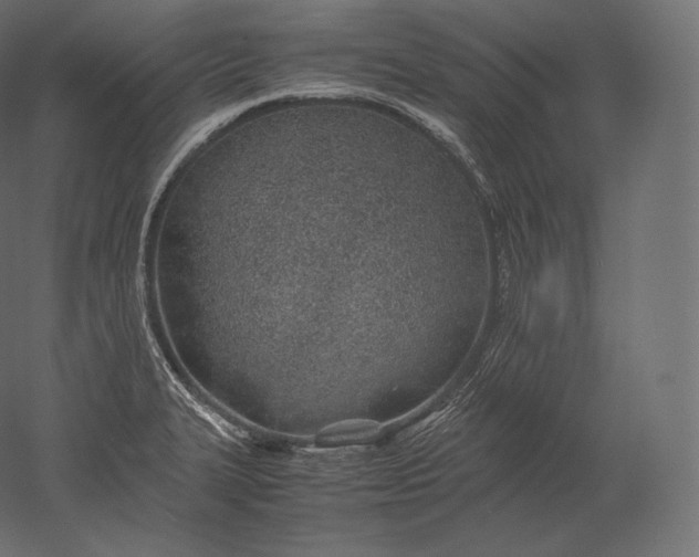 X0000051251327200507011642