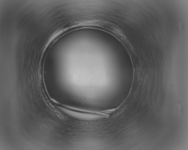 X0000051251328200507011642