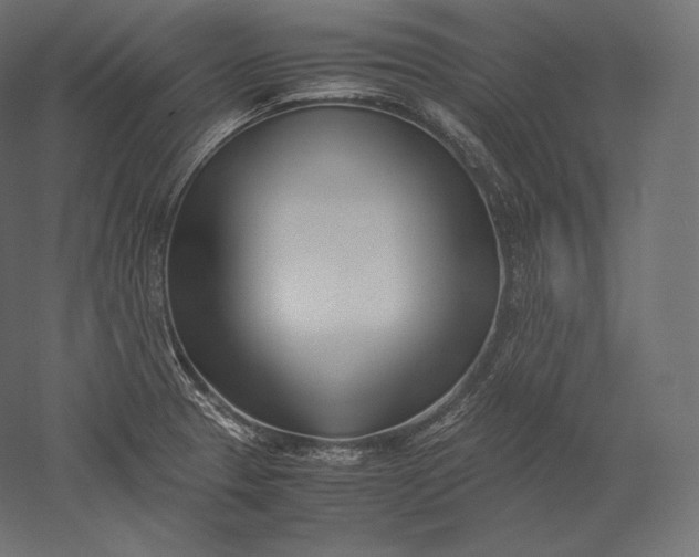 X0000051251329200507011642