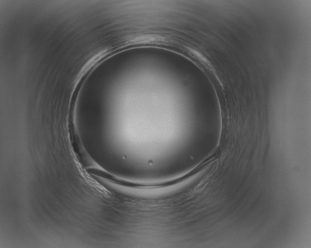 X0000051251330200507011642