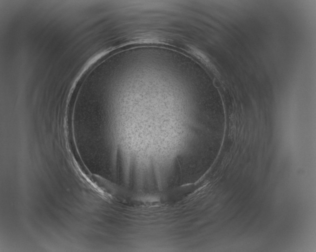 X0000051251331200507011642