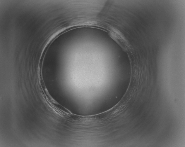 X0000051251332200507011642