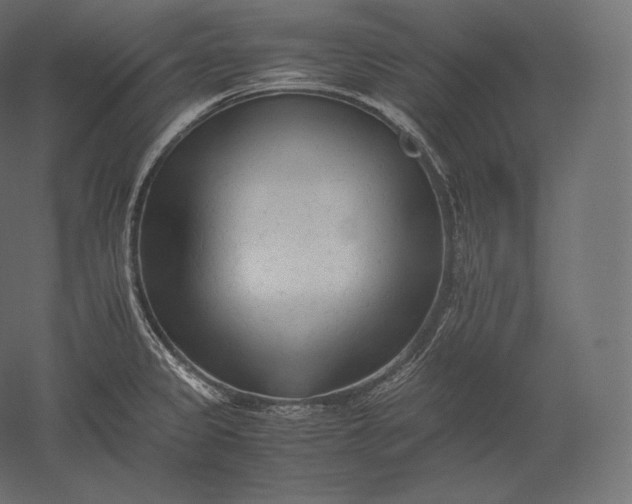 X0000051251333200507011642