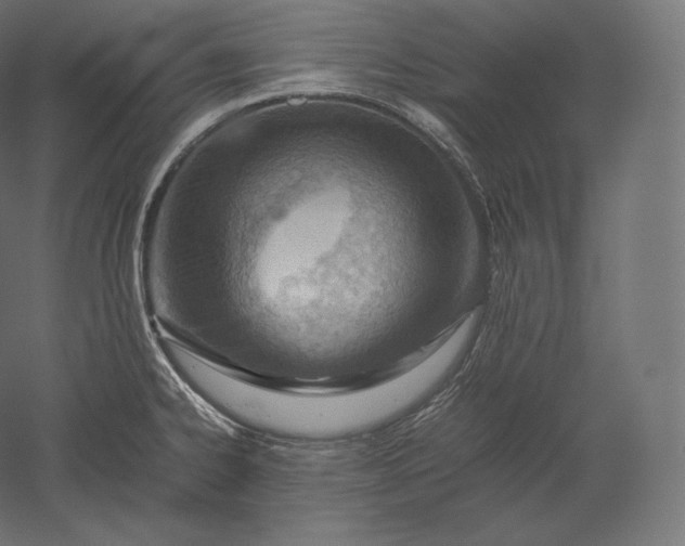 X0000051251334200507011642