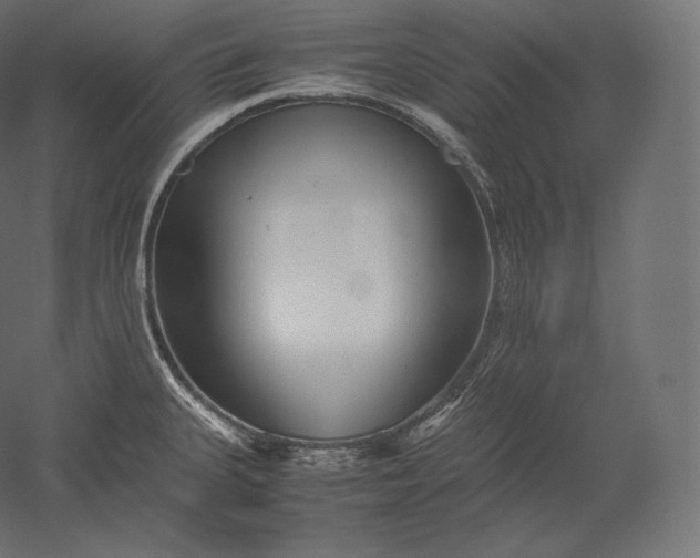 X0000051251335200507011642