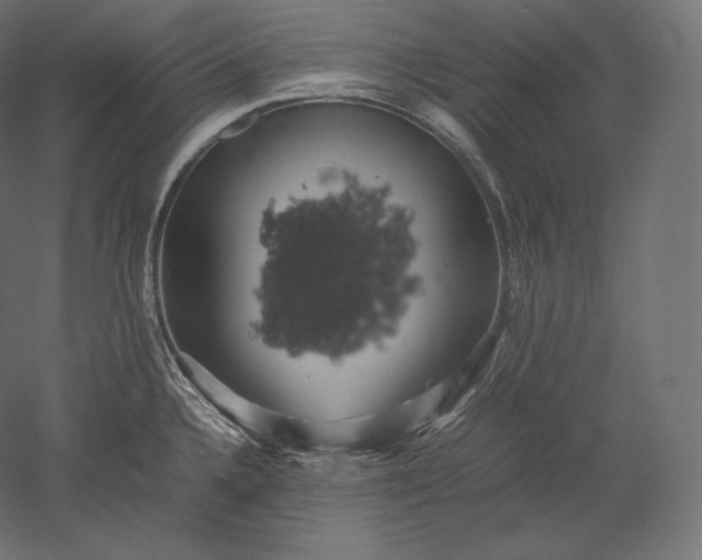 X0000051251336200507011642