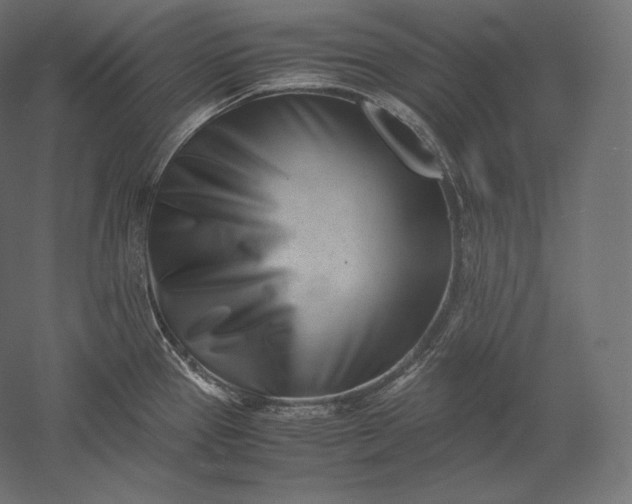 X0000051251337200507011642