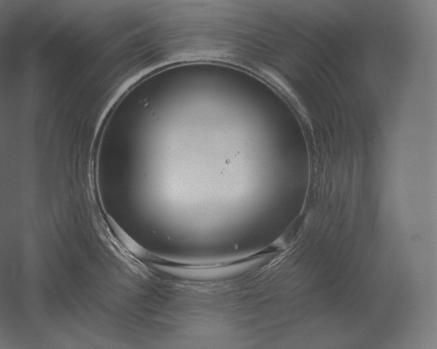 X0000051251340200507011642