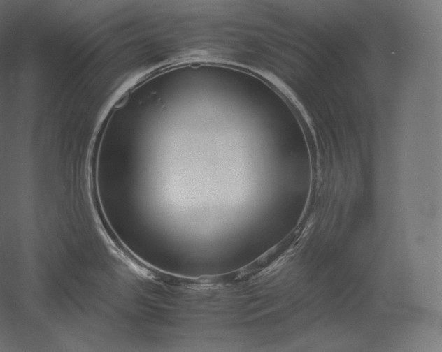 X0000051251341200507011642