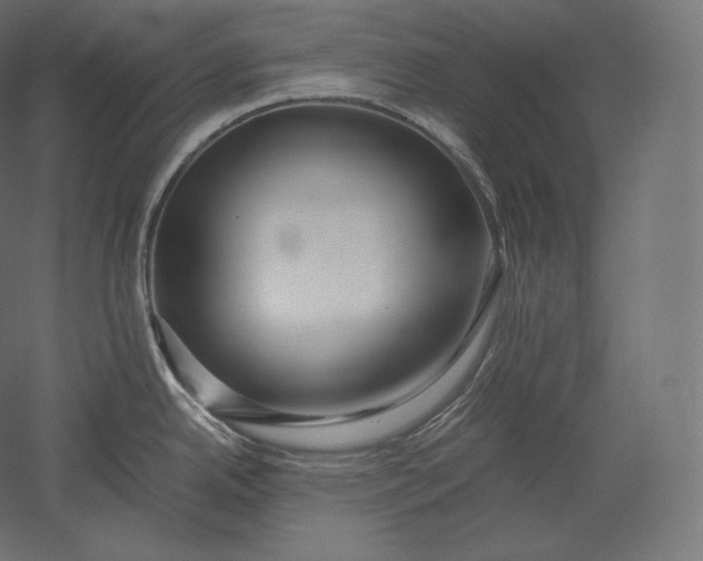 X0000051251342200507011642