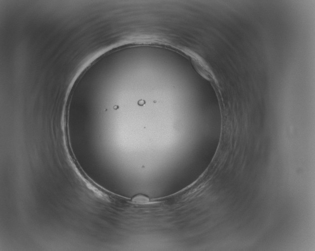 X0000051251343200507011642