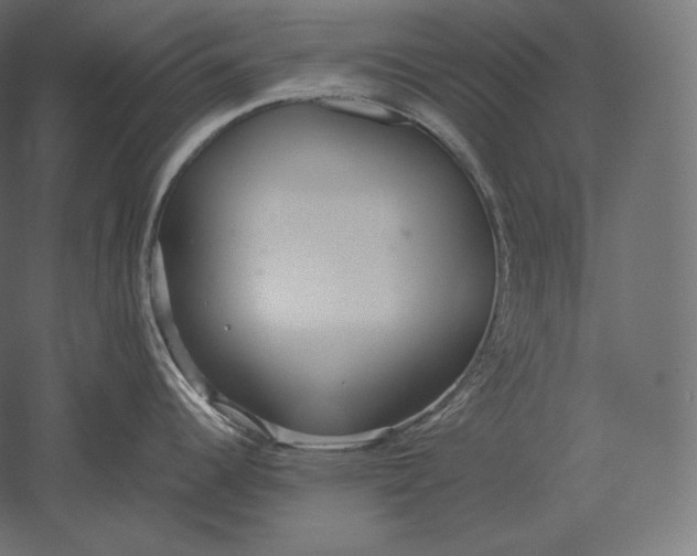 X0000051251344200507011642