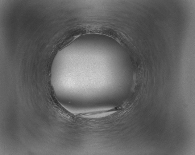 X0000051251345200507011641