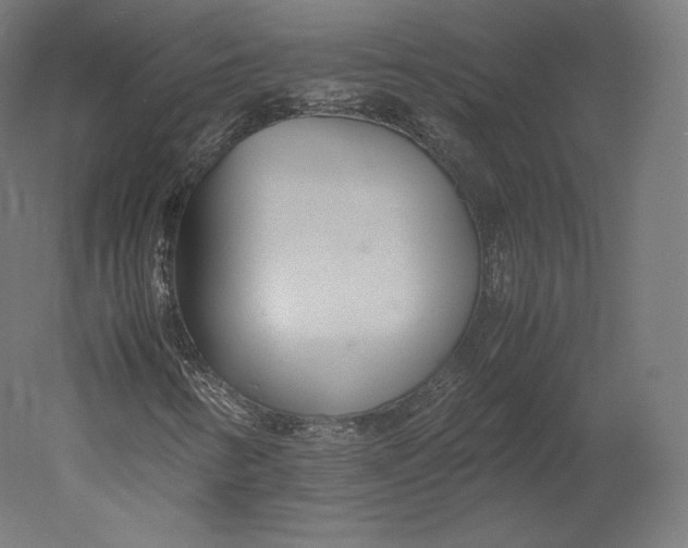 X0000051251346200507011641