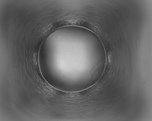 X0000051251347200507011641