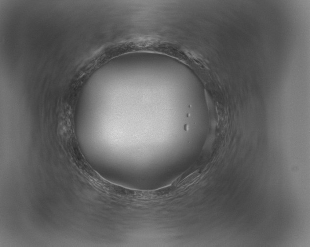 X0000051251349200507011641