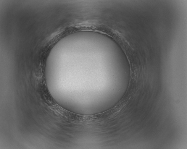 X0000051251350200507011641