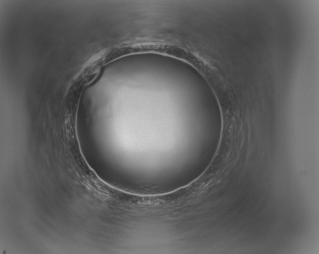 X0000051251351200507011641