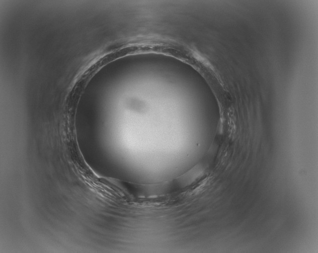 X0000051251352200507011641