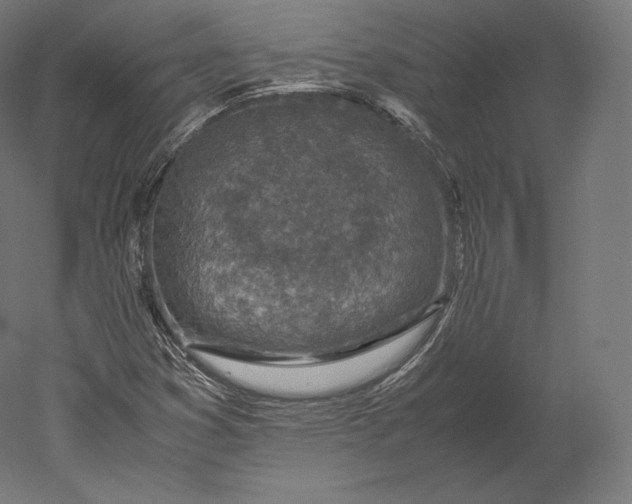 X0000051251353200507011641