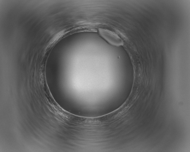 X0000051251354200507011641