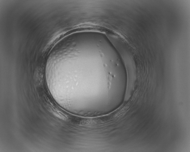 X0000051251355200507011641