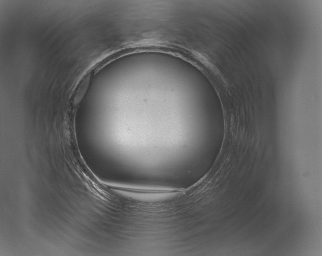 X0000051251356200507011641