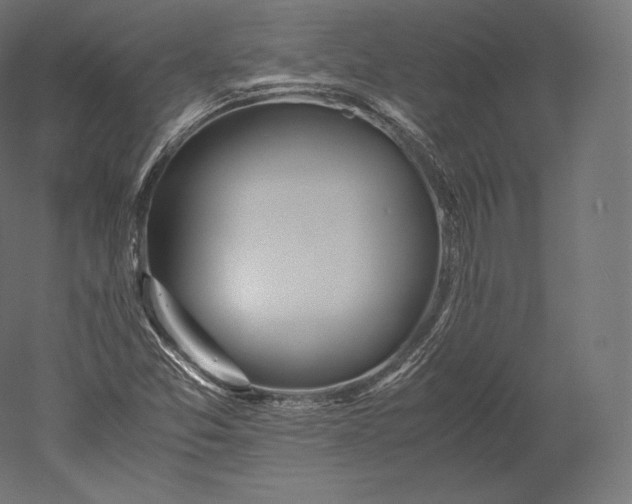 X0000051251357200507011641