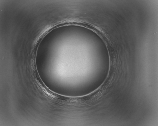 X0000051251359200507011641