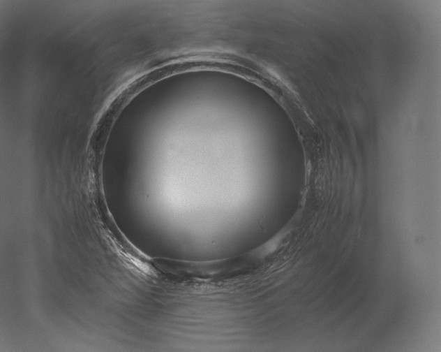 X0000051251360200507011641