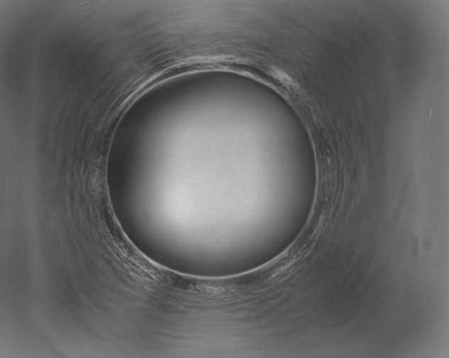 X0000051251361200507011641