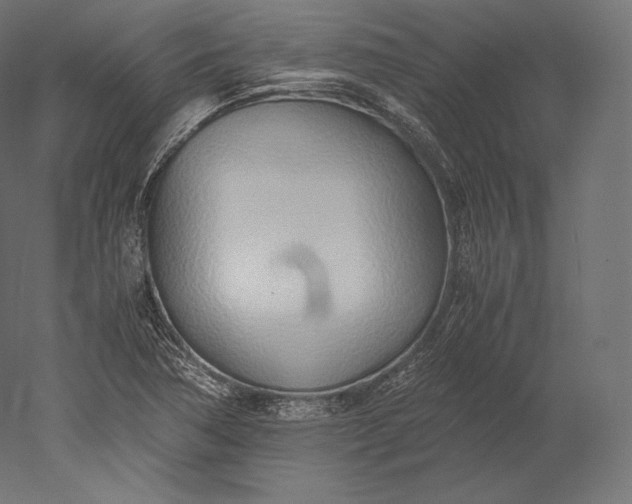 X0000051251362200507011641