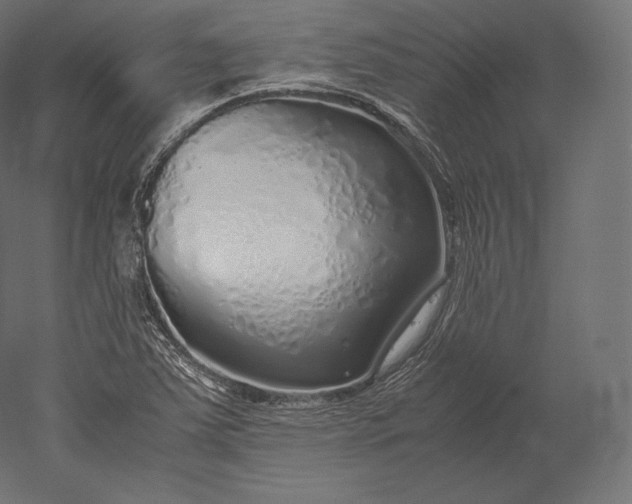 X0000051251363200507011641