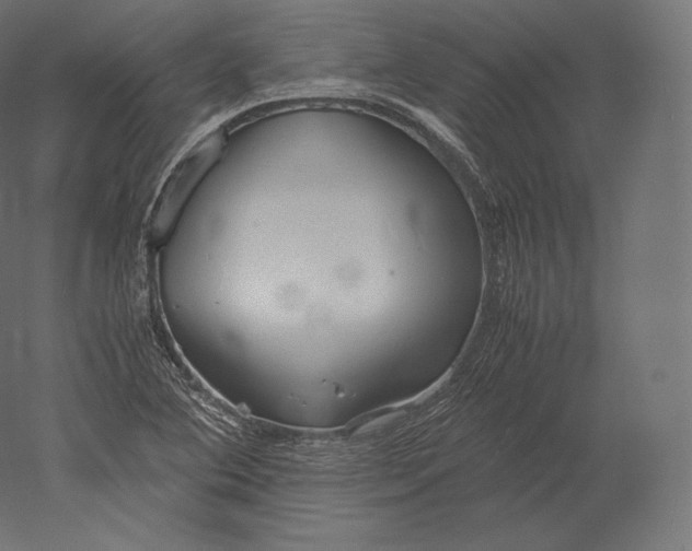 X0000051251364200507011641