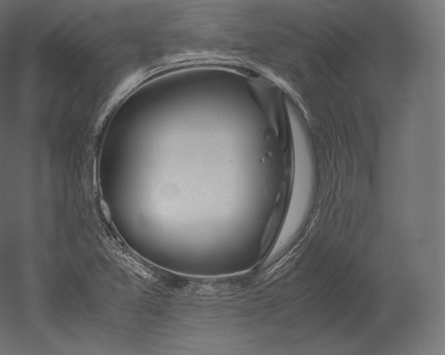 X0000051251365200507011641