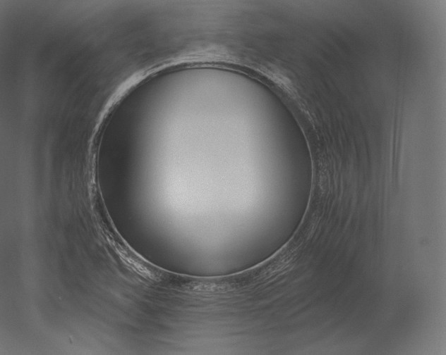 X0000051251366200507011641