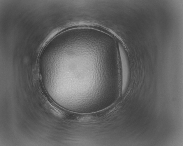 X0000051251367200507011641