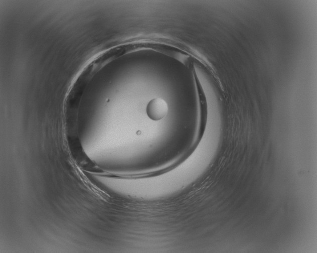 X0000051251368200507011641