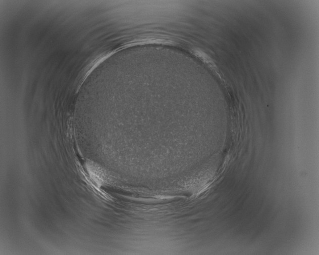 X0000051251369200507011641