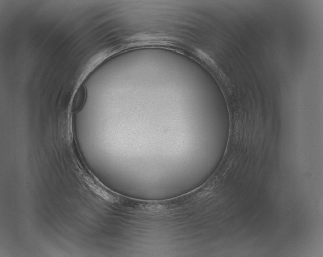 X0000051251370200507011641