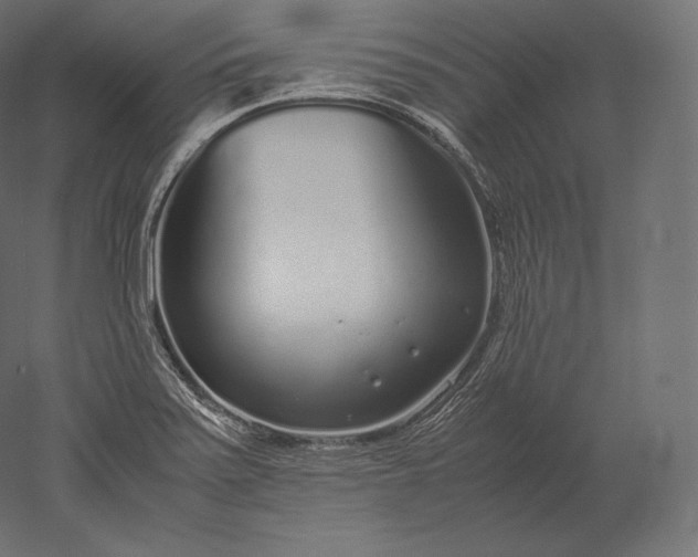 X0000051251371200507011641