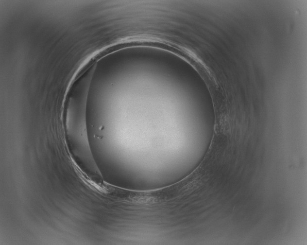 X0000051251372200507011641