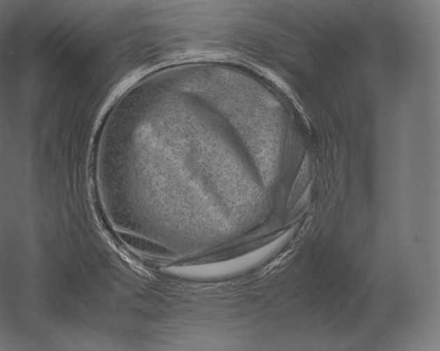 X0000051251373200507011641